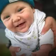 Family Dog Mauls Baby to Death in Horrific Home Tragedy - Parents Hospitalised