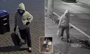 FBI Reveals New Evidence in Hunt for Capitol Pipe Bomb Suspect - Fresh Details Emerge