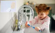FDA Issues Urgent Warning: Dental Fluoride Poses Health Risks to Children