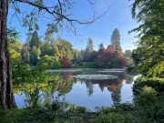 Fiery Spectacle: UK Gardens Explode with Unprecedented Autumn Colour After Extreme Summer