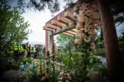 Flood-Proof Your Garden: 5 Resilient Plants That Thrive in Waterlogged Soil