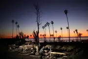 Florida and Southern California Brace for Severe Flooding as Atmospheric River Threatens