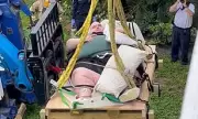Florida Construction Worker's Terrifying 80-Foot Crane Ordeal Ends in Dramatic Rescue