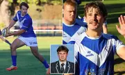 From Canberra Cobars to Royals Rookie: Joey Henry's Remarkable Rugby League Journey