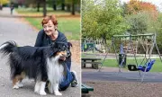 Fury as UK Councils Slap 'Dog ASBOs' on Owners: New Restrictions Spark Canine Controversy