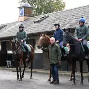 Galopin Des Champs Triumphs in Dramatic Cheltenham Gold Cup Showdown