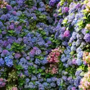 Gardeners' Warning: This Common Watering Mistake Could Be Killing Your Plants