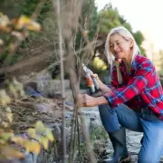 Gardening Expert Reveals 4 Plants That Need Pruning NOW for Spring Success