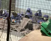 Gaza Officials: Mutilated Palestinian Bodies Recovered from Notorious Israeli Detention Facility