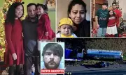 Georgia Family Tragedy: Nine Lives Lost Including Unborn Child in Horrific Multi-Vehicle Crash