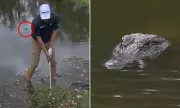 Golf's Most Dangerous Hazard: PGA Tour Pro's Terrifying Encounter With 12-Foot Alligator