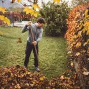 Green-Fingered Goldmine: 7 Simple Gardening Jobs That Pay Up To £40 Per Hour