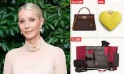 Gwyneth Paltrow's Goop Unveils Controversial Christmas Gift Guide Featuring Intimate Vibrators
