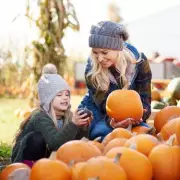 Halloween Horror Show: Parents Fume Over 'Rip-Off' Pumpkin Patch Experience