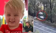 Halloween Horror: Teen Driver's Vampire-Themed Party Ends in Tragedy After Beenleigh Crash