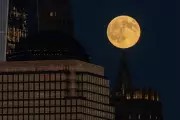 Harvest Supermoon 2025: Your Complete Guide to Witnessing Australia's Spectacular Lunar Show