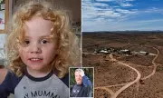 Heartbreak in the Outback: Desperate Search for Beloved Cattle Dog Gus After He Vanishes from Remote Station