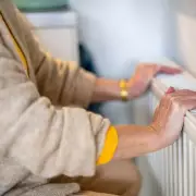Heating Engineers Reveal: This Simple Radiator Trick Could Slash Your Energy Bills