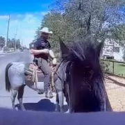 Heroic Bystanders Tackle Fleeing Criminal in Dramatic Street Chase