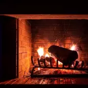 Homeowner's Incredible Fireplace Discovery Reveals 400-Year-Old Hidden Chamber