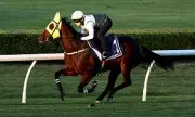 Hong Kong Sensation Ka Ying Rising Blitzes Everest Field in Stunning 2025 Upset