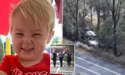 Horror on the Highway: Triple-Vehicle Pile-Up Closes Major Queensland Road as Emergency Services Battle to Free Trapped Drivers