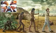 Human Evolution Accelerates: Scientists Discover Unprecedented Genetic Changes