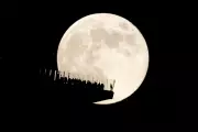 Hunter's Supermoon 2025: Don't Miss Britain's Most Spectacular Lunar Display This October