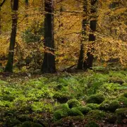 I Followed A 170-Year-Old Treasure Map Through London - What I Found Will Amaze You