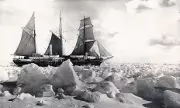 Ice-Crushing Mystery Solved: The Real Reason Shackleton's Legendary Endurance Finally Succumbed to Antarctic Depths