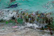 Invisible Threat: How Microplastics Are Invading Our Oceans and Food Chain