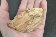 Iron Age Settlement Unearthed in Shropshire Reveals Roman Conquest Secrets