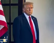 Is Britain Following Trump's America? Political Parallels Raise Alarm Bells