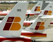 Is Your Pet Just Luggage? Iberia's Controversial New Policy Sparks Passenger Outrage