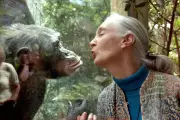 Jane Goodall Death Certificate Mystery: Official Records Reveal Shocking Error