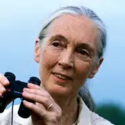 Jane Goodall Death Hoax: Primate Expert Sets Record Straight on Viral Rumours