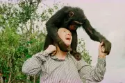 Jane Goodall Delivers Urgent Climate Warning: 'We Are Destroying Planet'