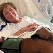 Jockey's Cancer Nightmare: Derby Dream Dashed After Shocking Diagnosis