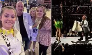 Katy Perry's Heartwarming Gesture: Fan Proposes During Concert With Family's Blessing