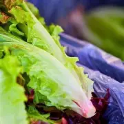 Keep Lettuce Fresh & Crispy For Weeks With This Simple Kitchen Hack