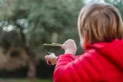 Kent Police Hunt Wildlife Attacker Using Catapults to Target Protected Animals