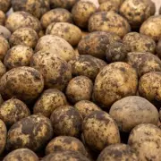 Kitchen Genius Reveals: How to Keep Potatoes Fresh for 5 Months Without Sprouting