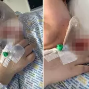 Knife Attack Survivor's Horror: 'I Thought I Was Going to Die' - Chilling Details Emerge