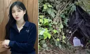 Korean Star's Final Stream: VIP Fan Charged in Shocking Murder Case