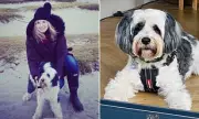 Lewis Hamilton's Bulldog Roscoe Goes Vegan: F1 Star Reveals Canine's Dramatic Health Transformation