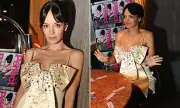 Lily Allen's X-Rated Album Launch: Singer Gifts Celebrity Pals Provocative Sex Toys at Explosive Party