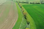 Lincolnshire's Farming Revolution: How One Estate is Rewilding 1700 Acres for Nature's Return