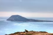Live in Britain's Holiest Place: Unique Caretaker Role Opens at Historic Holy Island