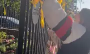 London activist defiantly removes yellow ribbons tied for Israeli hostages in controversial protest