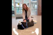 Lost Corgi's Incredible 2,000-Mile Journey: From California Streets to Illinois Family Reunion